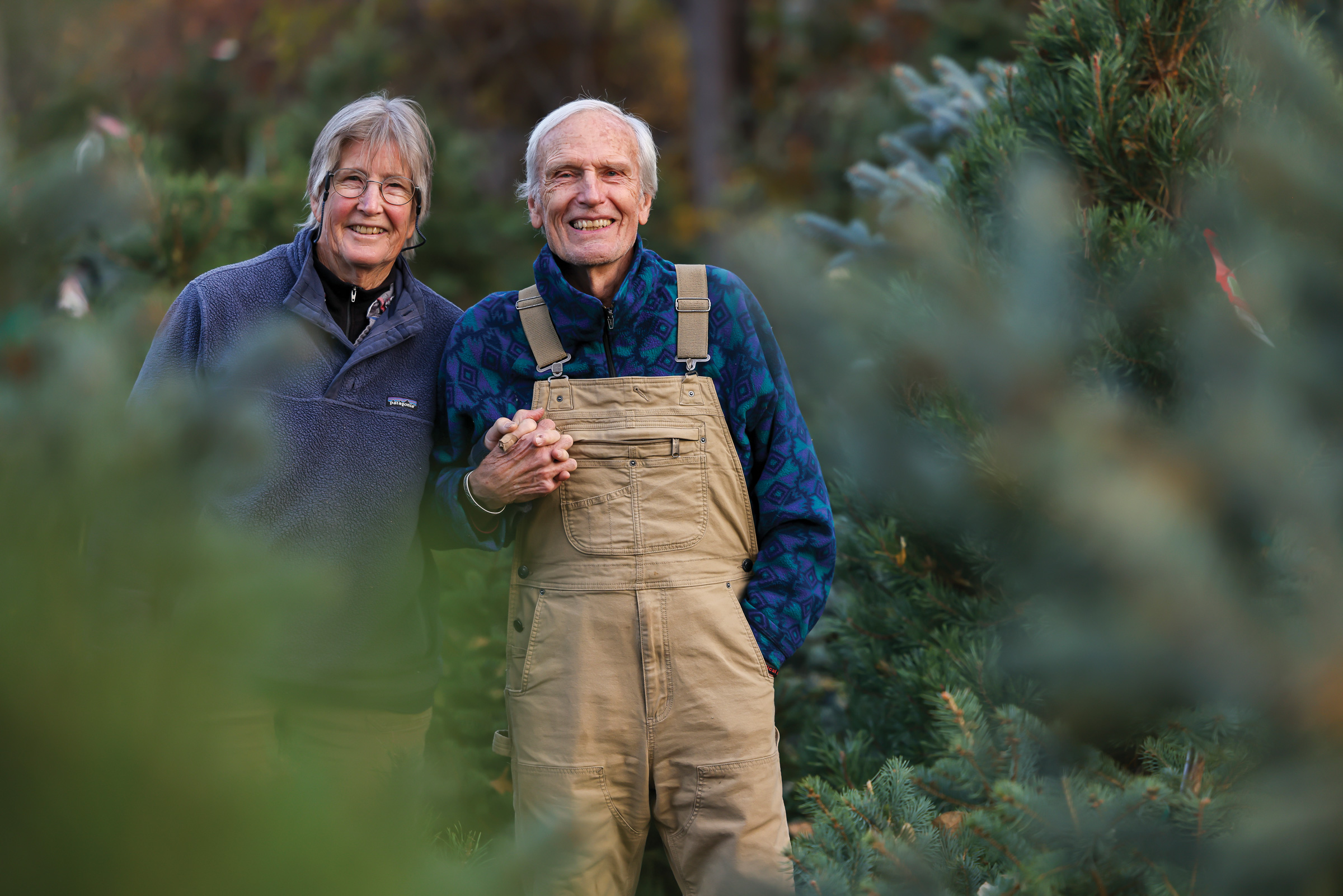 Boulder’s Evergreen Dream: A Small Farm Cultivates Sustainable Holiday Traditions Amidst Rocky Mountain Challenges