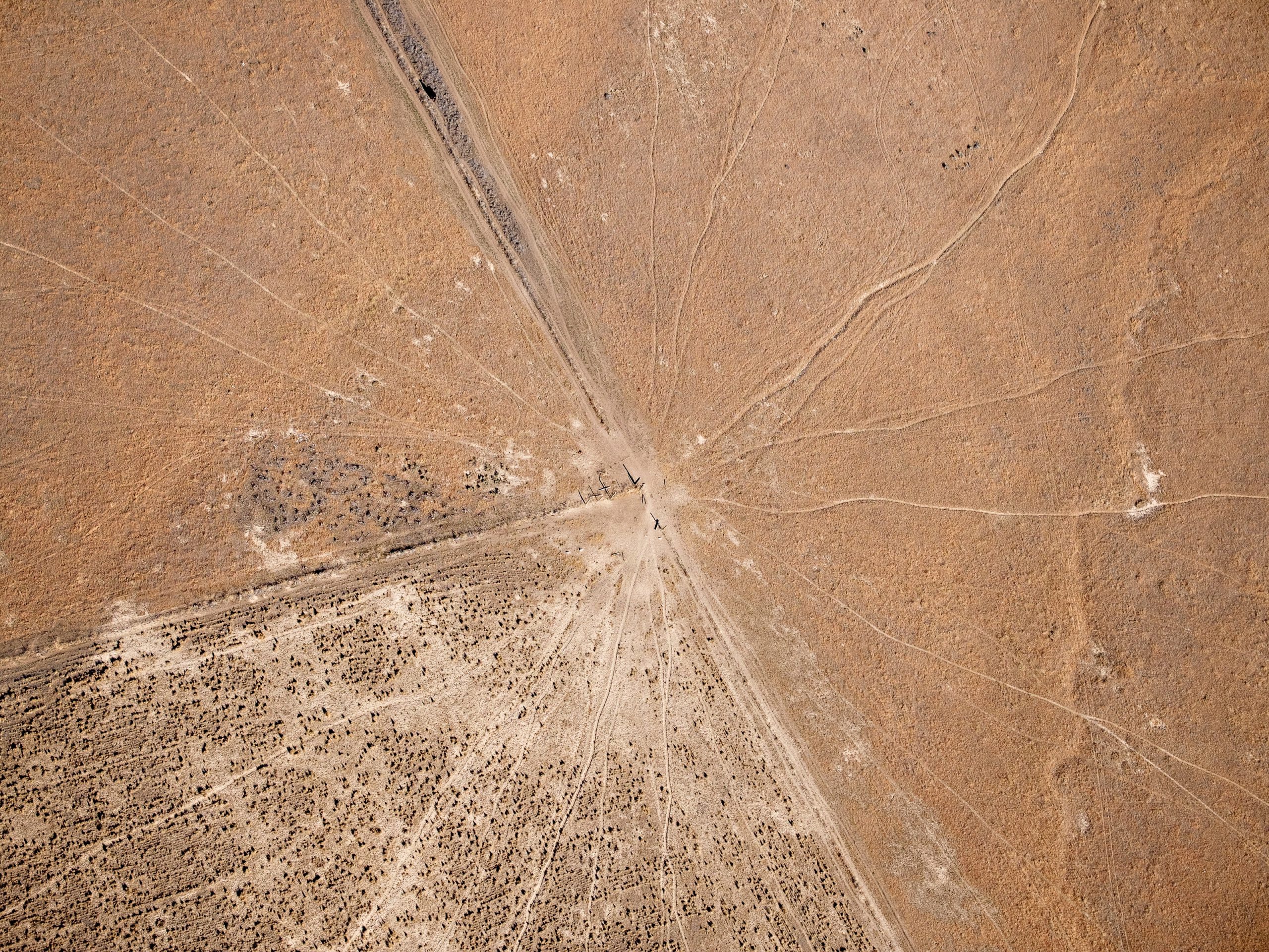 Public Lands Grazing Permits Face Reduced Environmental Scrutiny Amidst Staff Shortages