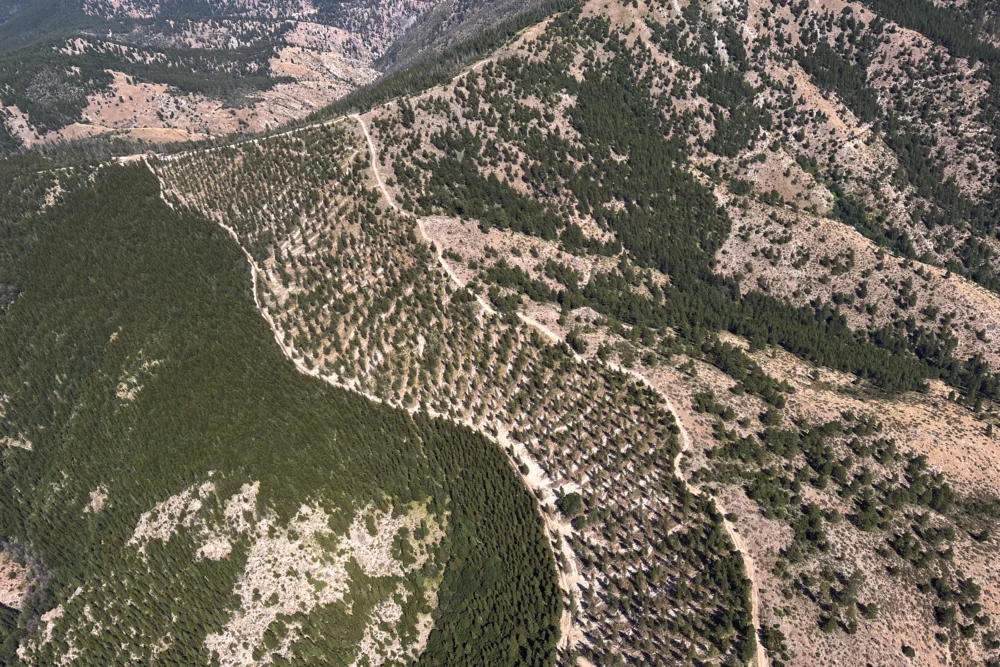 Bipartisan "Fix Our Forests Act" Sparks Debate Over Expedited Wildfire Mitigation and Environmental Safeguards.