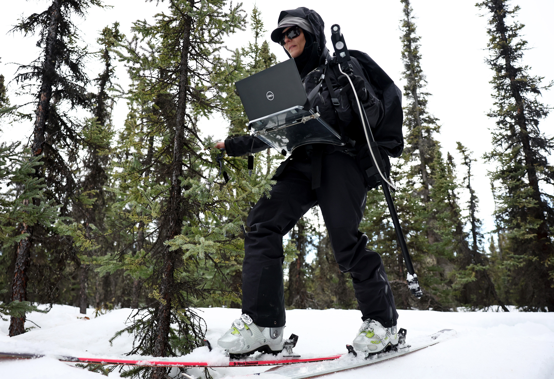 Congress Rejects Draconian Cuts, Approves Compromise Spending Bill for Key Environmental and Science Agencies.