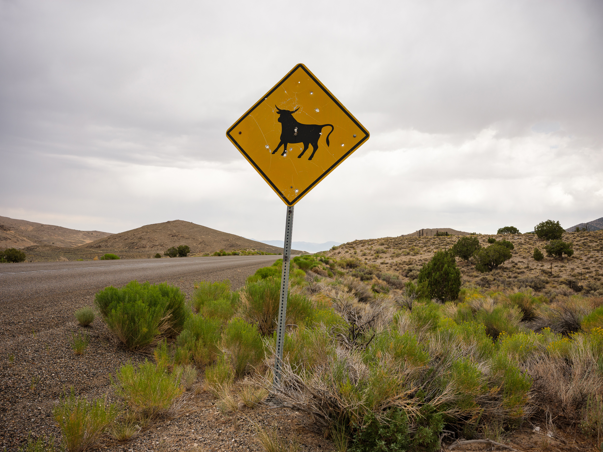 Federal Land Management Faces Intensifying Political Pressure from Ranching Interests.