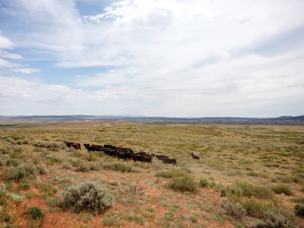 Federal Subsidies Fuel Billionaire Ranches on America’s Public Lands ...