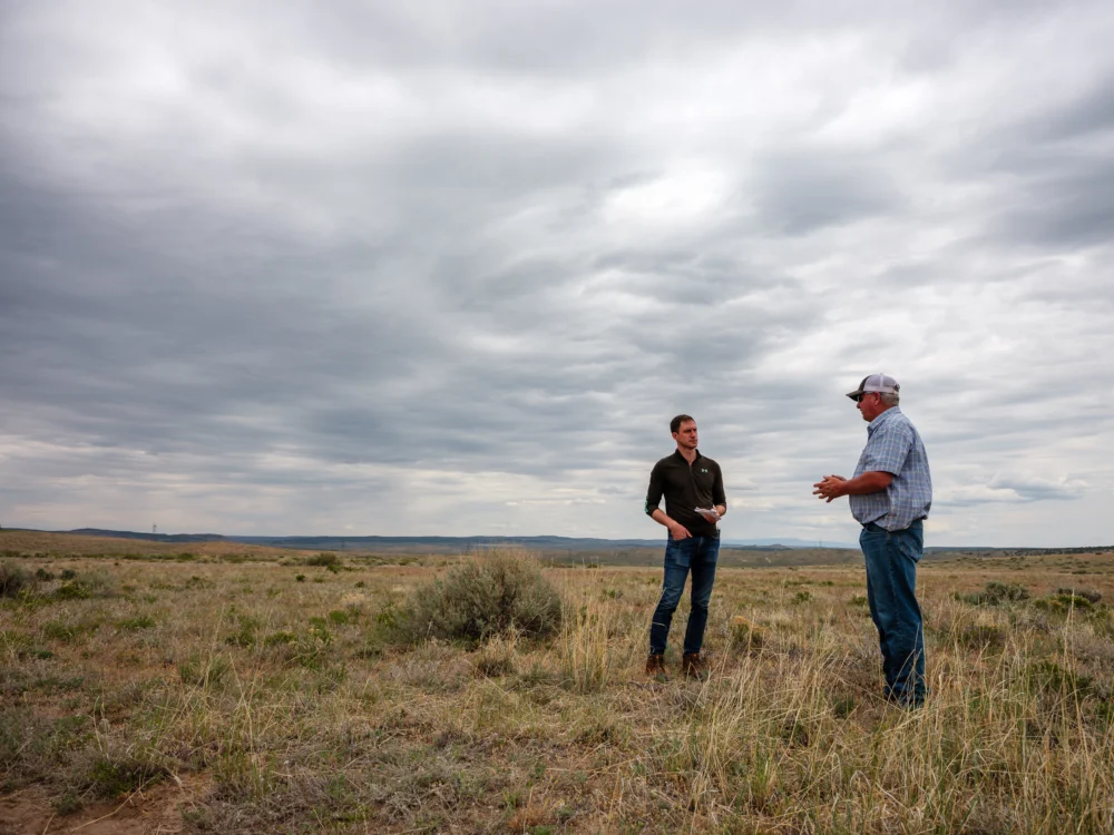 Federal Subsidies Fuel Vast Public Lands Ranching While Environmental Oversight Lapses.