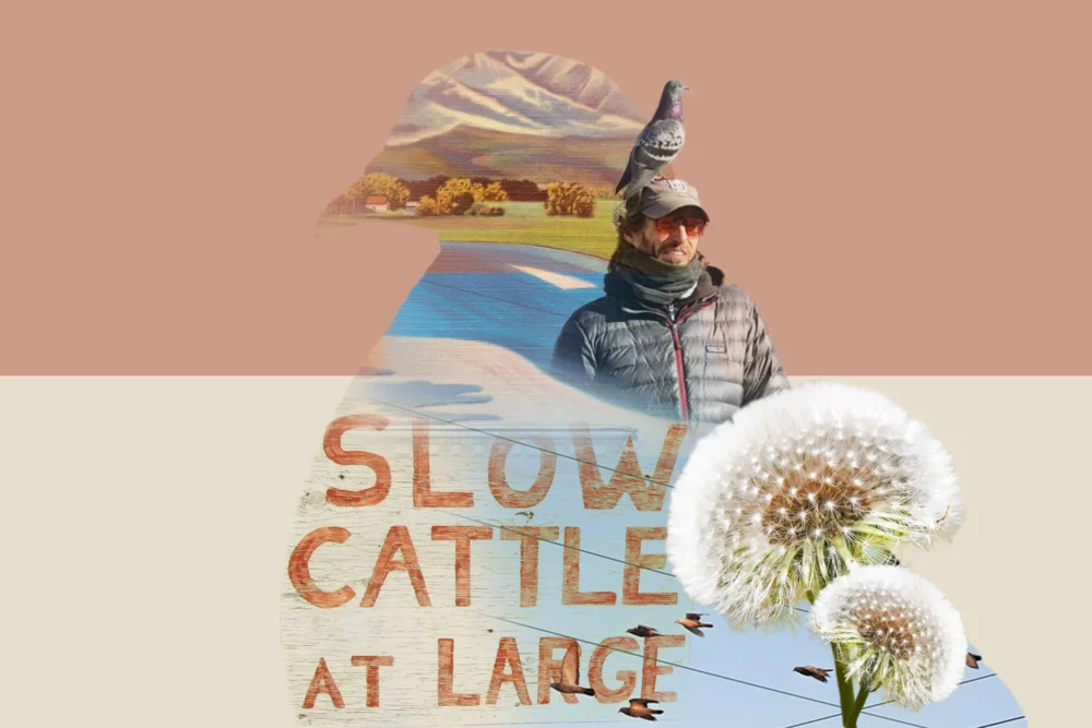 Montana Beckons: An Escape to Remoteness and a Life Among the Flock