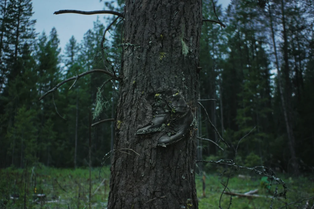 Netflix’s ‘Train Dreams’ Adaptation Reflects Contemporary Anxieties Amidst a Century of Wilderness Exploitation.