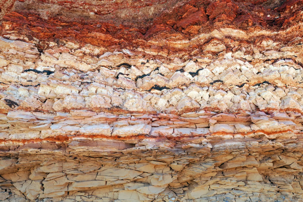 The Digital Age’s Paradox: How Cloud Computing and AI Drive Persistent Reliance on Fossil Fuels.