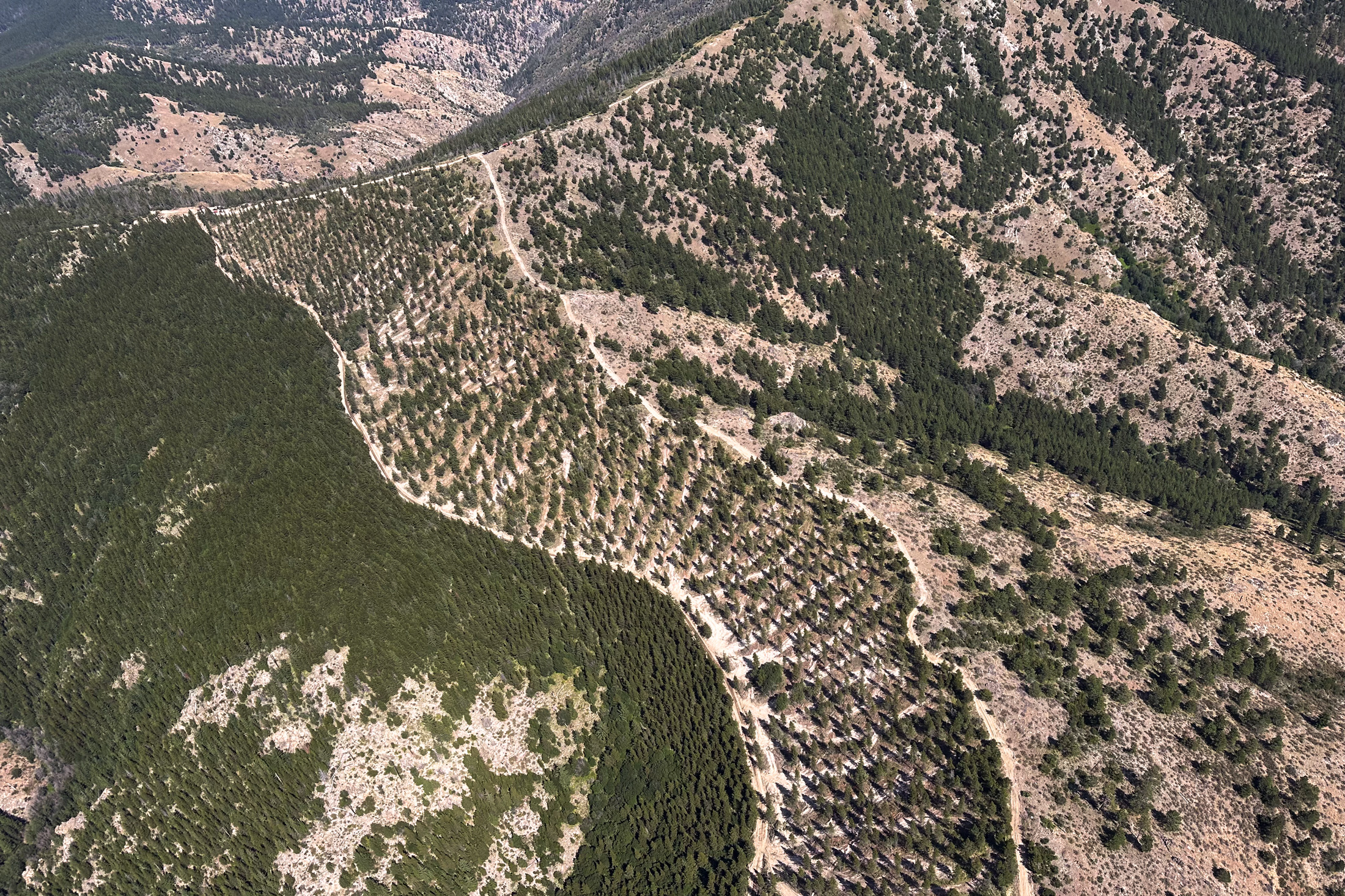 U.S. Congress Advances Landmark Legislation to Confront Escalating Wildfire Crisis Across Federal Forests