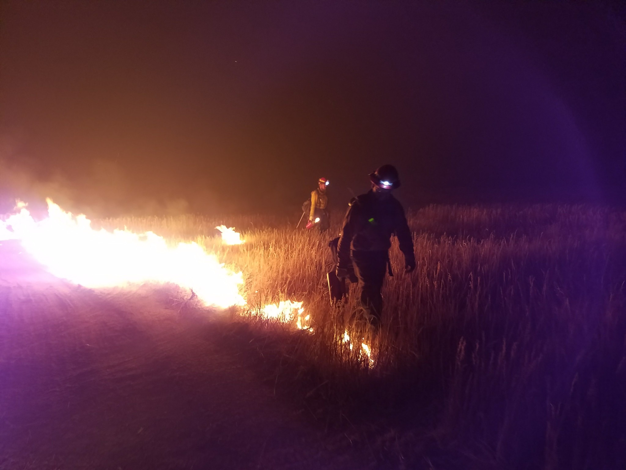 Bureau of Indian Affairs Faces Significant Overhaul Amidst Deepening Staff Cuts, Sparking Tribal Outcry.