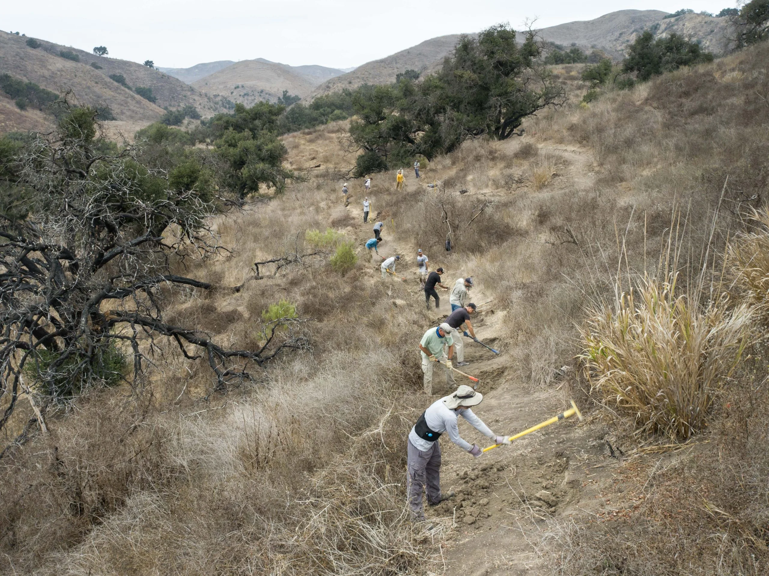 California’s Los Padres National Forest Trails Vanish Amidst Climate Crisis and Budget Cuts