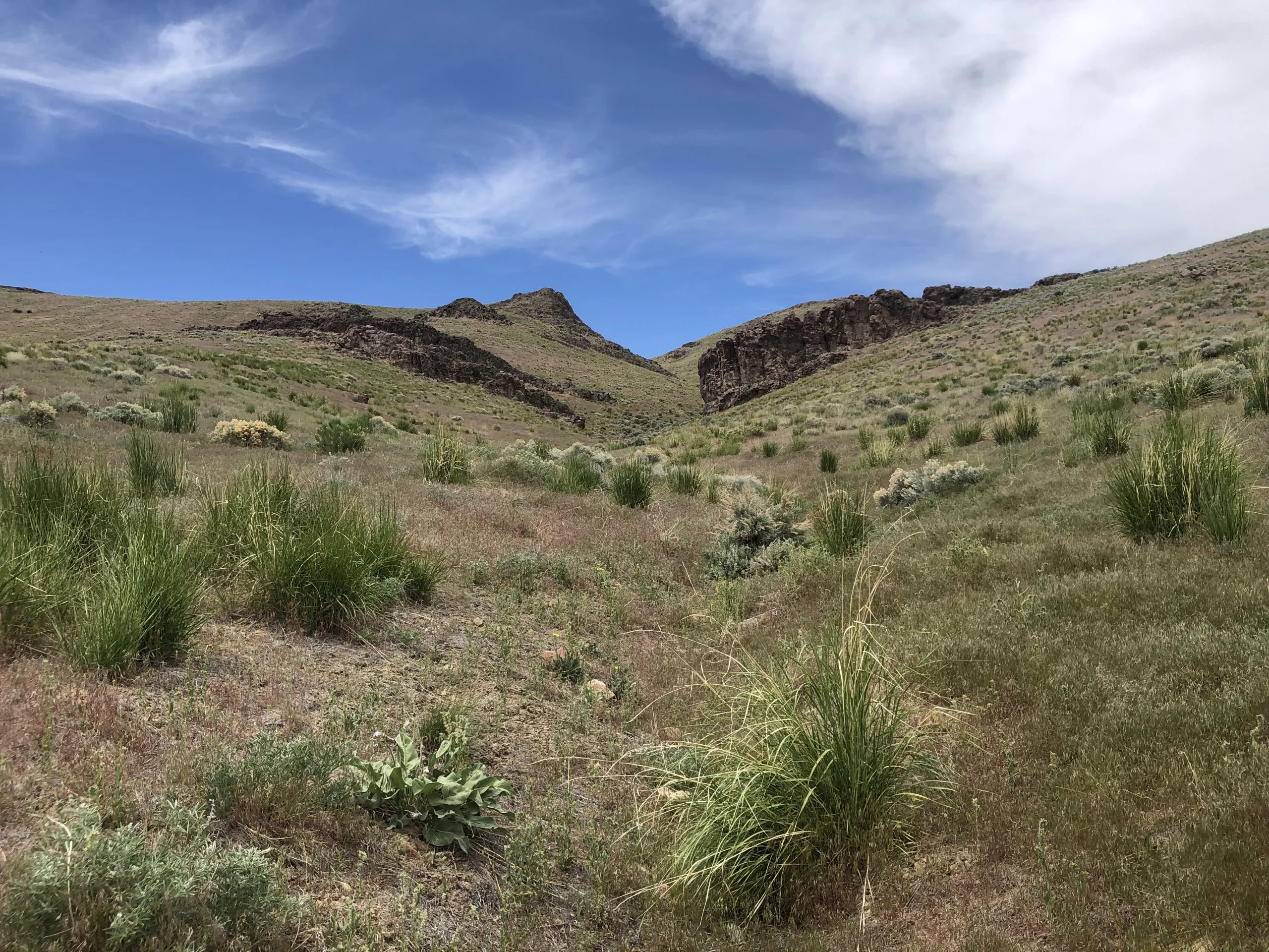 Interior Department Official Faces Scrutiny Over Financial Ties to Controversial Thacker Pass Lithium Mine.