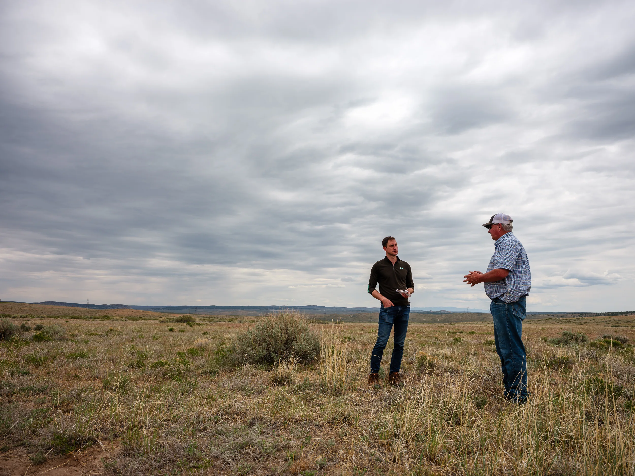 Public Lands Ranching: A System of Subsidies, Environmental Harm, and Entrenched Political Power.