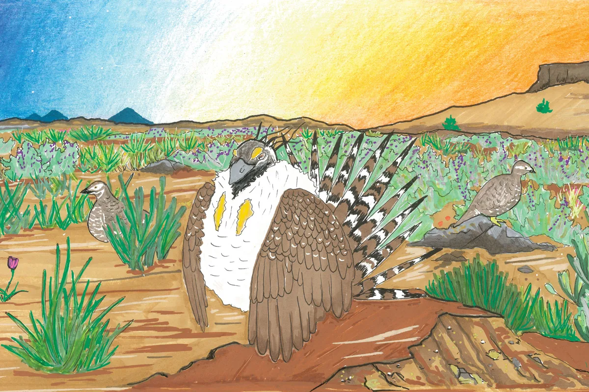 The Western Sagebrush Steppe: A Battle for Survival Between Iconic Birds and Entrenched Ranching Interests
