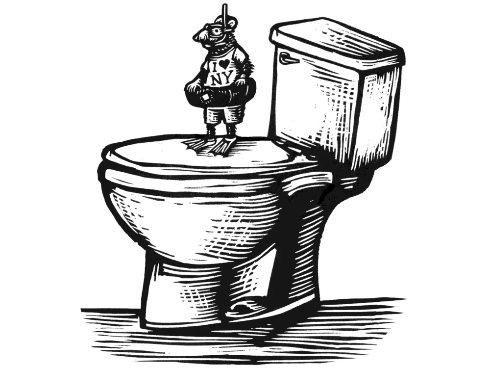 Wildlife Encounters Highlight Evolving Human-Nature Interface Across North America.