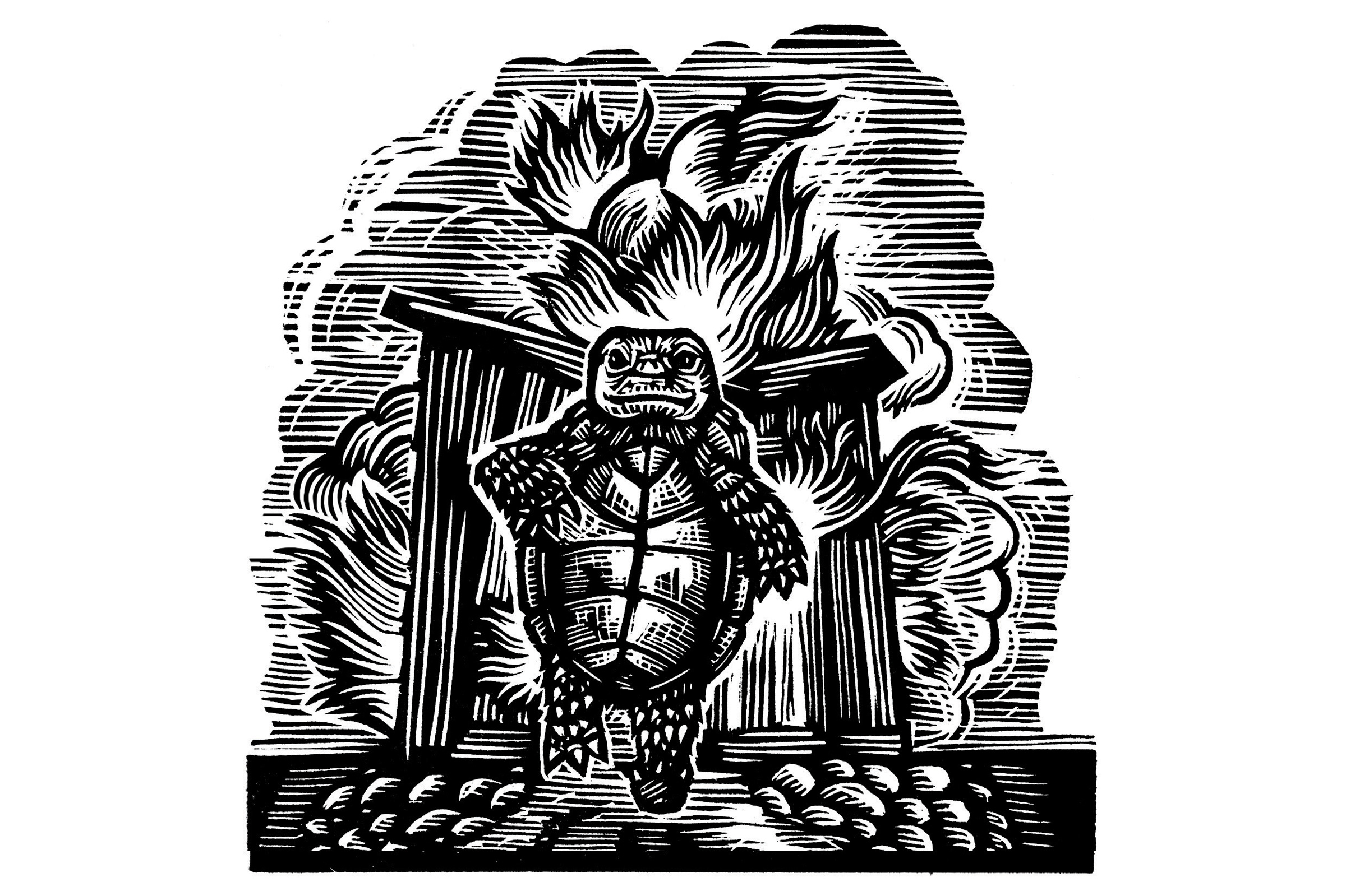 From Viral Escapes to Ancient Threads: The Wild and Wonderful Tapestry of Western Life Unfolds.