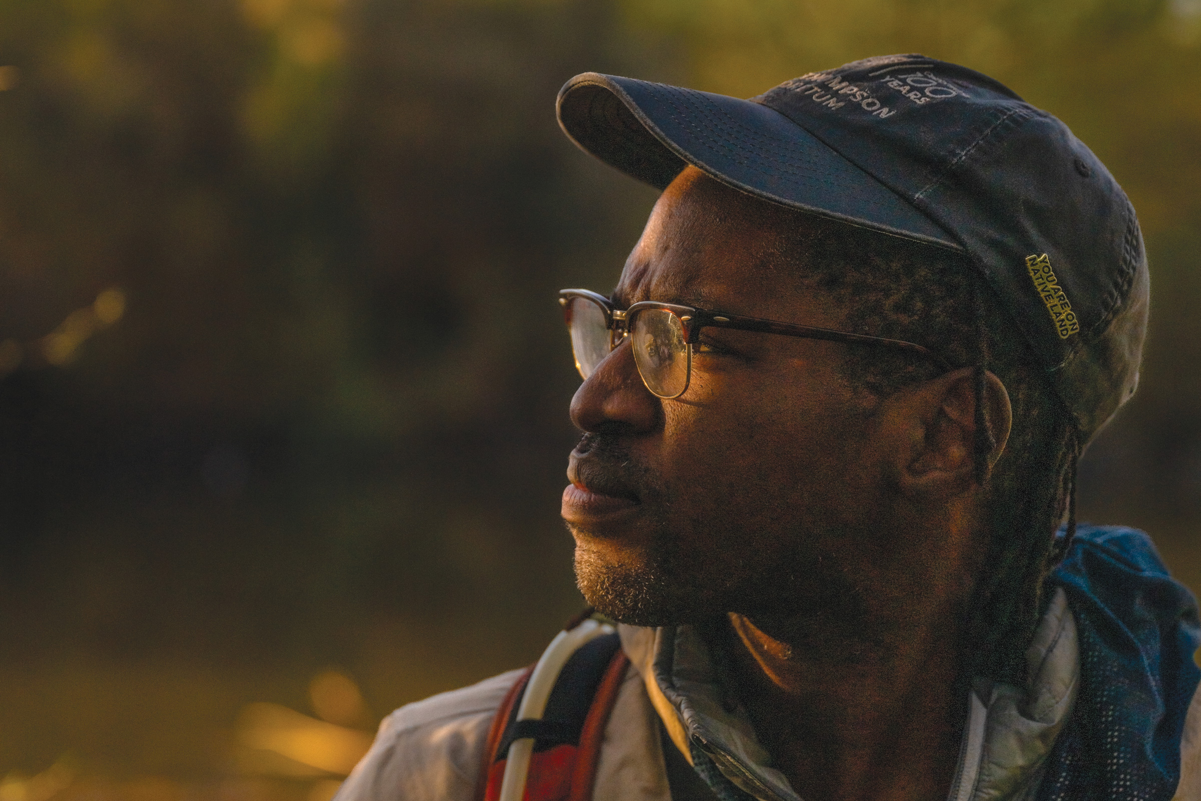 ‘Just noticing birds improves your health’