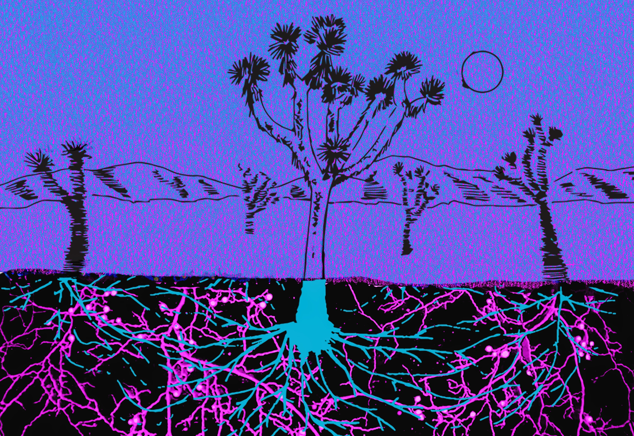 Vast Underground Fungal Networks Crucial for Ecosystem Health Face Undeniable Threats