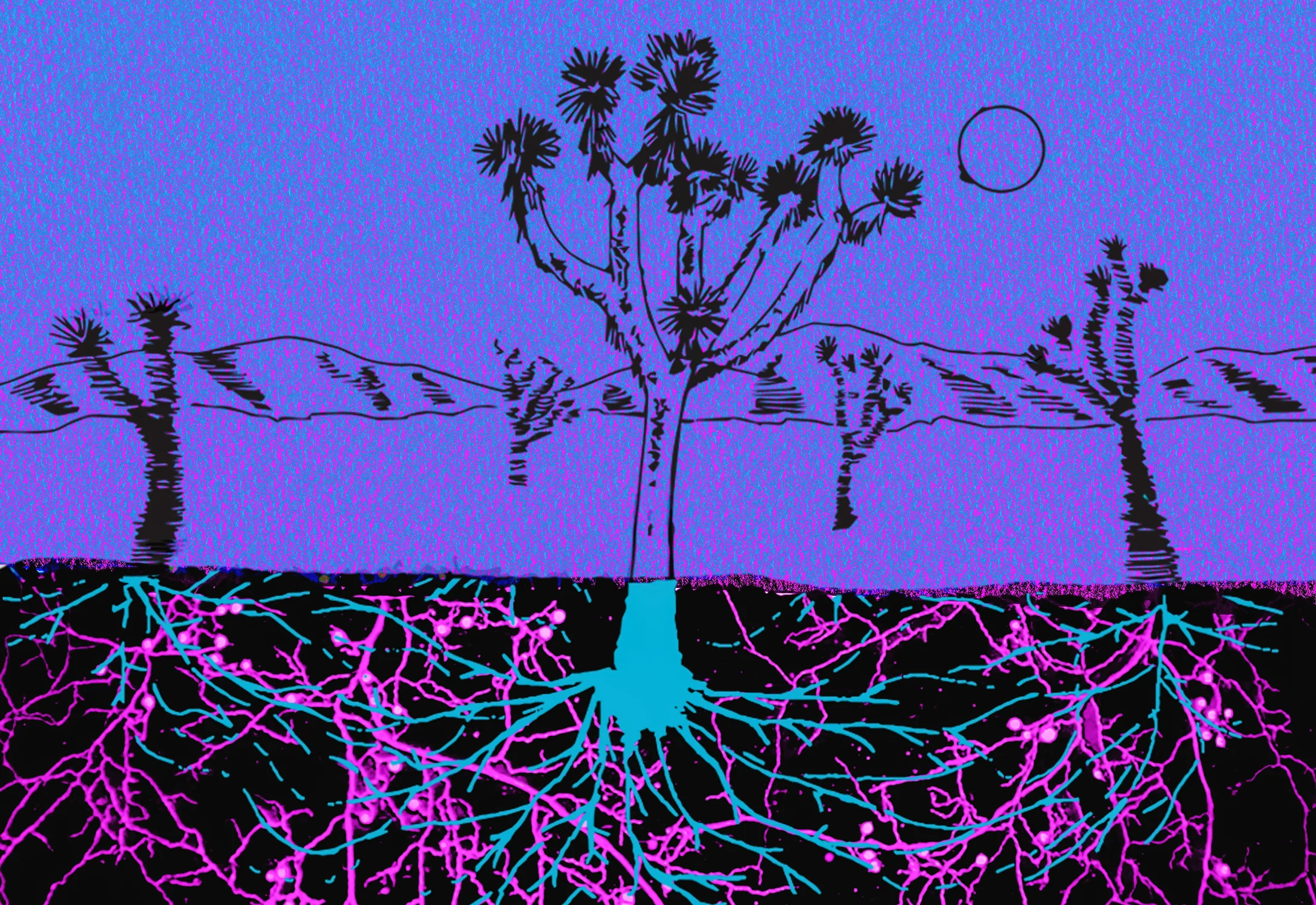 Vast Underground Fungal Networks Crucial for Ecosystem Health Face Unprecedented Threats