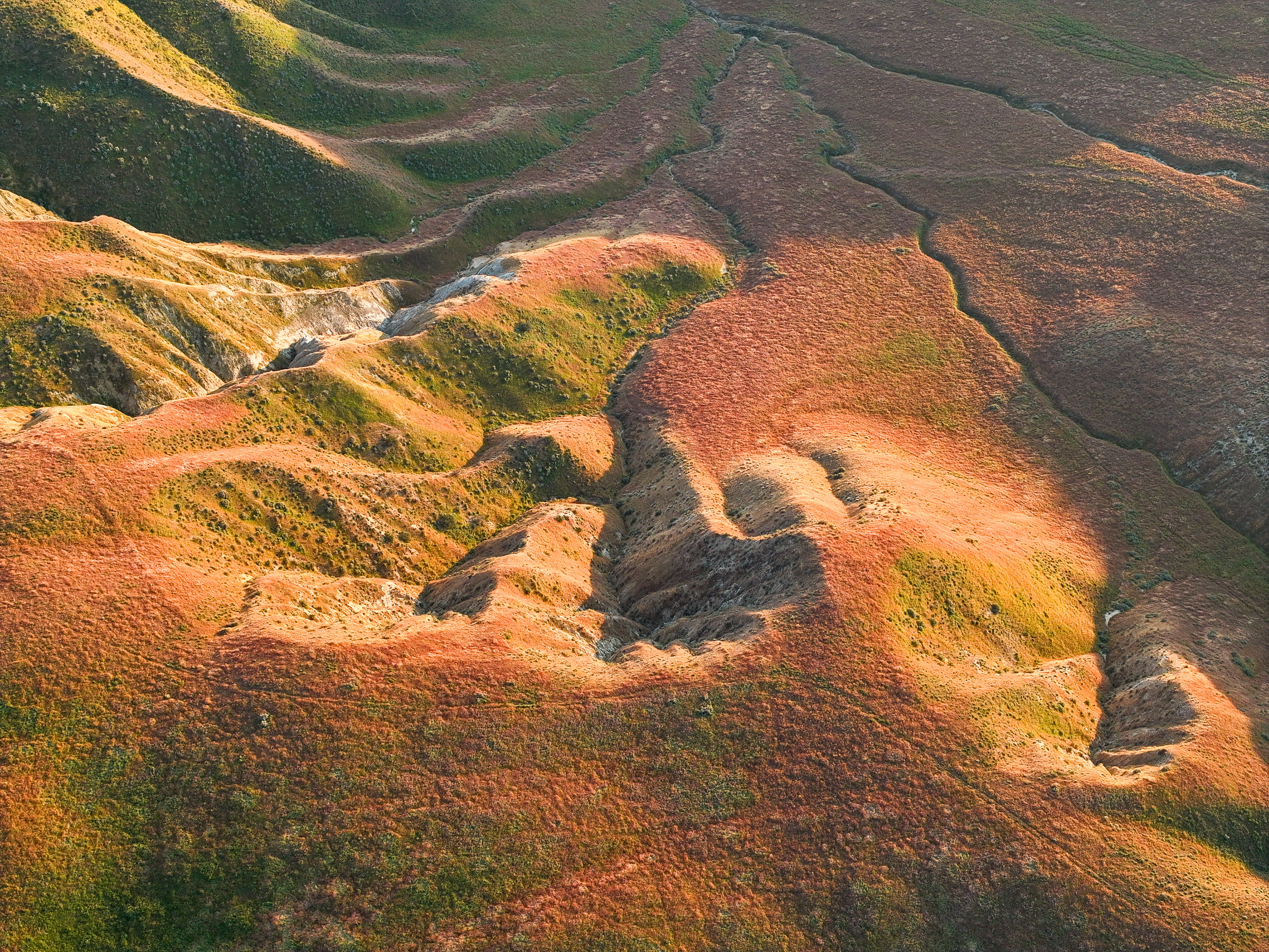 Western Heat Waves Shatter Records, Signaling a Shifting Climate Paradigm.