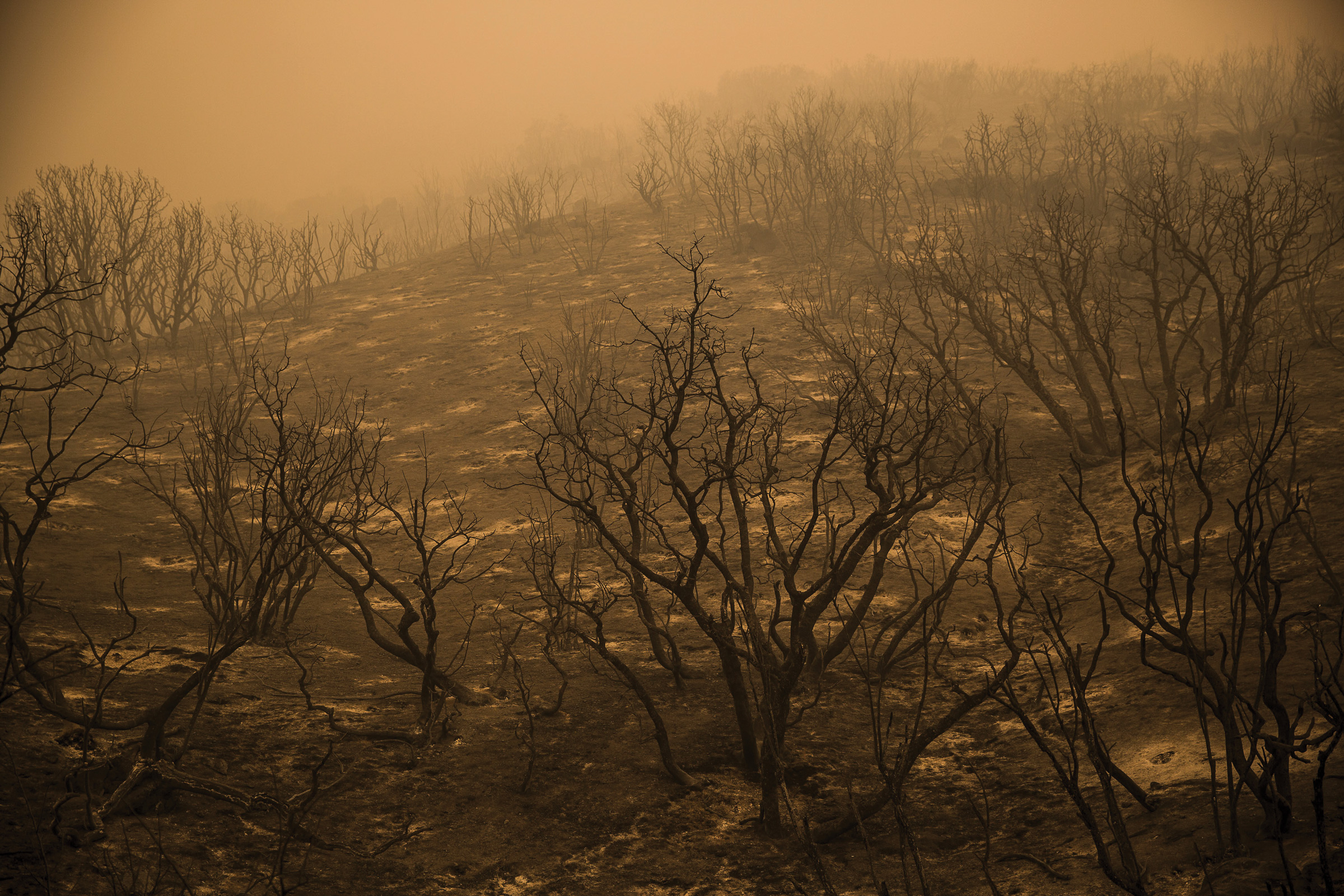 Wildfires Transform Harmless Soil Element into Airborne Toxin