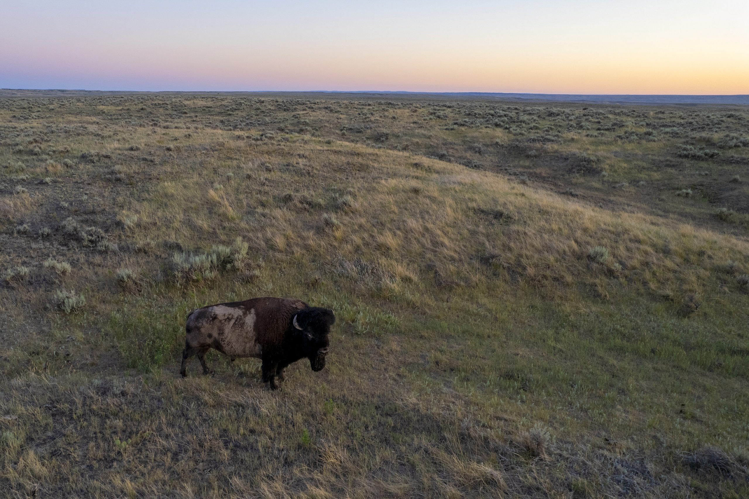 Interior Secretary’s Controversial Interventions Spark Ethics Scrutiny Over Public Land Decisions.
