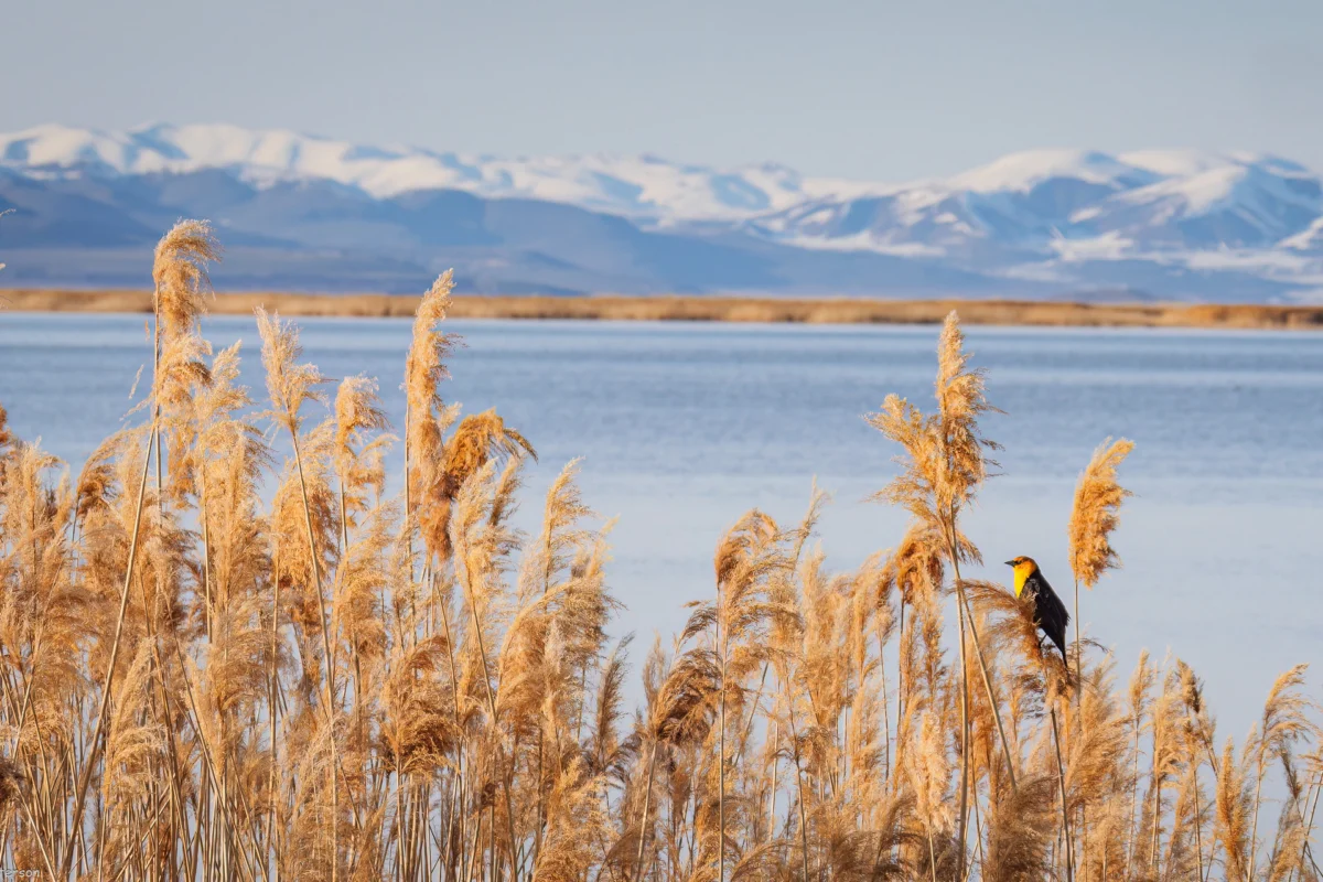 Kevin O’Leary’s Ambitious AI Campus Plan Sparks Fierce Opposition in Utah