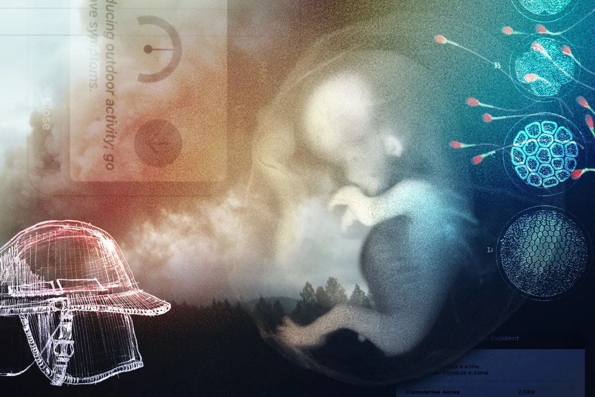 Wildfire Smoke Poses Emerging Threat to Human Fertility