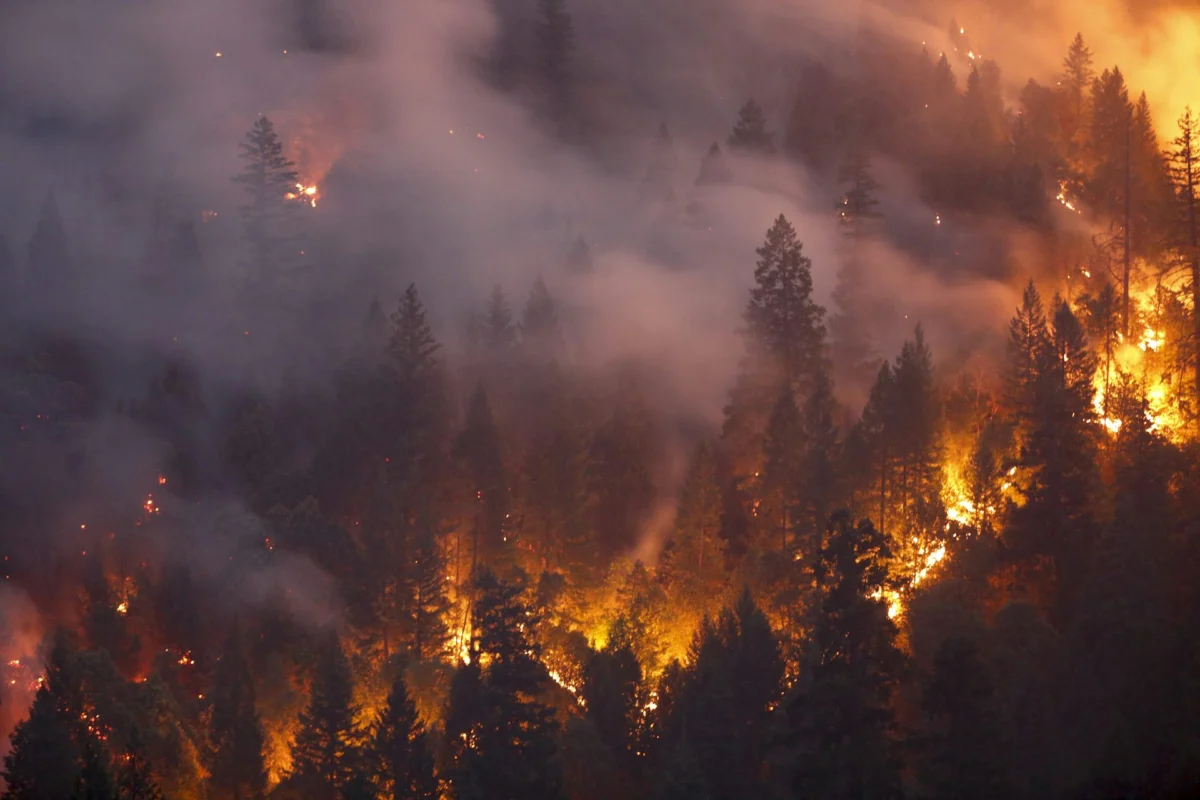 Heat Waves Dramatically Amplify Western Wildfire Risk, New Study Reveals.