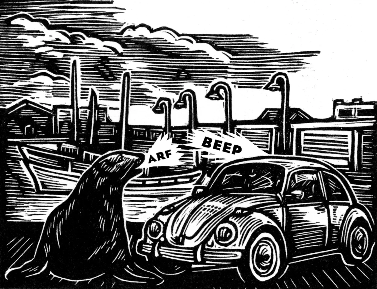 Urban Wildlife Management and Community Tensions Define Pacific Northwest Narratives.
