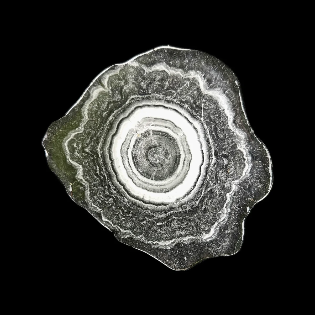 Hailstone Science Unlocks Secrets to Costly Storms